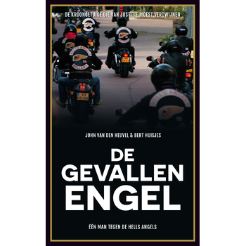 De gevallen engel (Paperback) bij Singel 344
