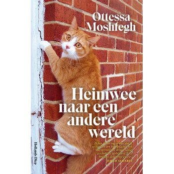 Heimwee naar een andere wereld (Paperback) bij Singel 344