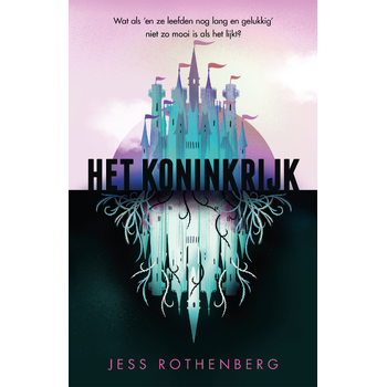 Het Koninkrijk (Paperback) bij Singel 344