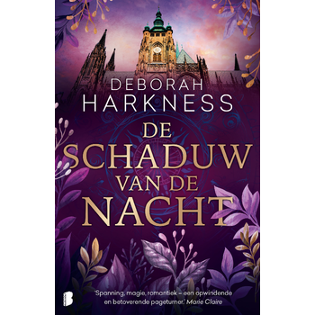 De schaduw van de nacht (Paperback) bij Singel 344