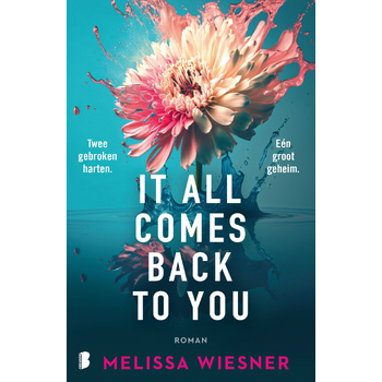 It All Comes Back To You (Paperback) bij Singel 344