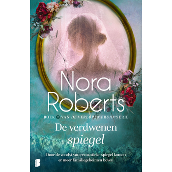 De verdwenen spiegel (Paperback) bij Singel 344