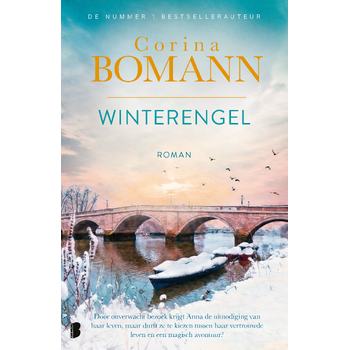 Winterengel (Paperback) bij Singel 344
