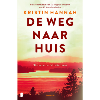De weg naar huis (Paperback) bij Singel 344