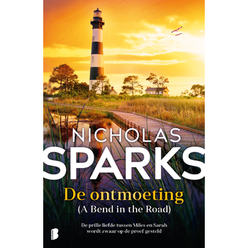 De ontmoeting (Paperback) bij Singel 344