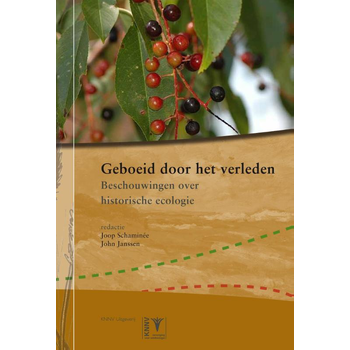 Geboeid door het verleden (Paperback) van Joop Schaminee