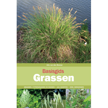 Basisgids Grassen (Paperback) bij Singel 344