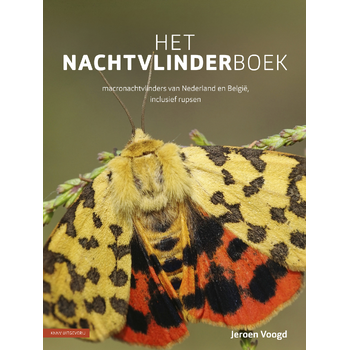 Het nachtvlinderboek (Hardback) bij Singel 344