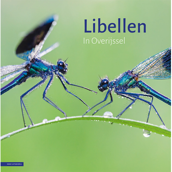 Libellen in Overijssel (Hardback) bij Singel 344