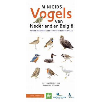 Set Minigids Vogels van Nederland en België bij Singel 344