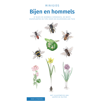 Bijen en hommels set 3 ex bij Singel 344