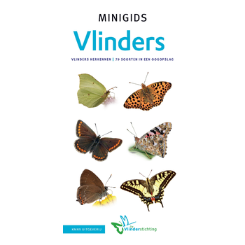 Set Minigids Vlinders bij Singel 344
