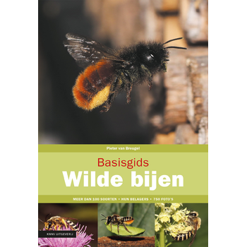 Basisgids wilde bijen (Paperback) bij Singel 344
