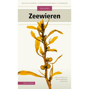 Veldgids Zeewieren (Hardback) bij Singel 344