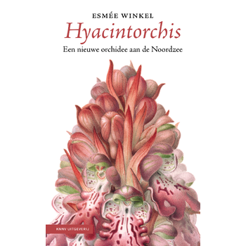 Hyacintorchis (Hardback) bij Singel 344