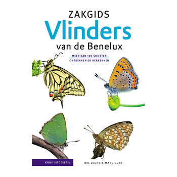 Zakgids Vlinders van de Benelux (Hardback) bij Singel 344