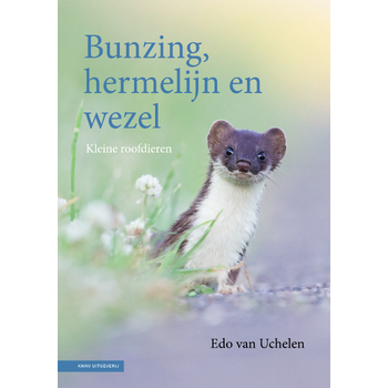 Bunzing, hermelijn en wezel (Hardback) bij Singel 344