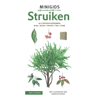Minigids struiken set bij Singel 344