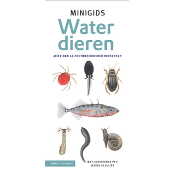 Minigids waterdieren bij Singel 344