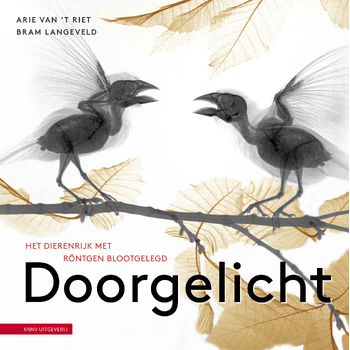 Doorgelicht (Hardback) bij Singel 344