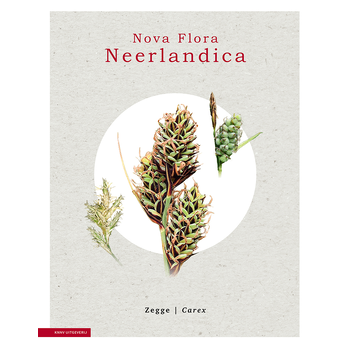 Zegge - Carex (Hardback) bij Singel 344