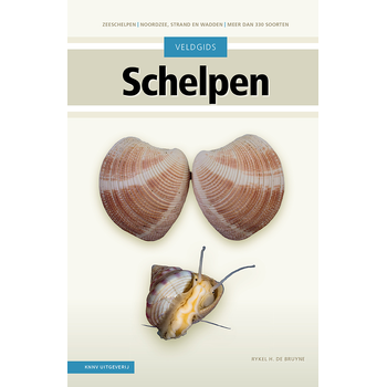 Veldgids Schelpen (Hardback) bij Singel 344