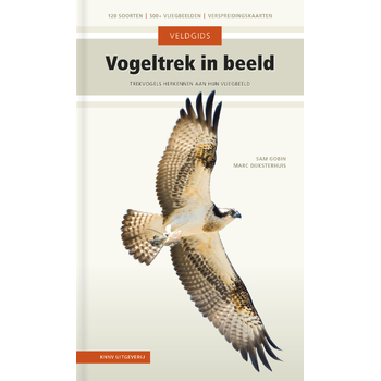 Vogeltrek in beeld (Hardback) bij Singel 344