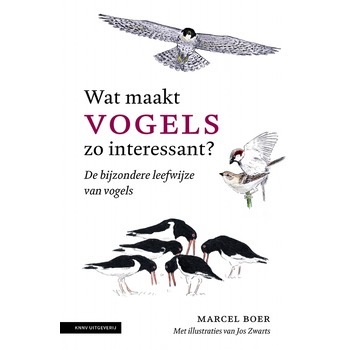 Wat maakt vogels zo interessant (Paperback) bij Singel 344