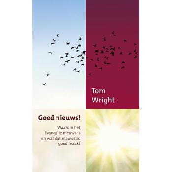 Goed nieuws! (Paperback) bij Singel 344