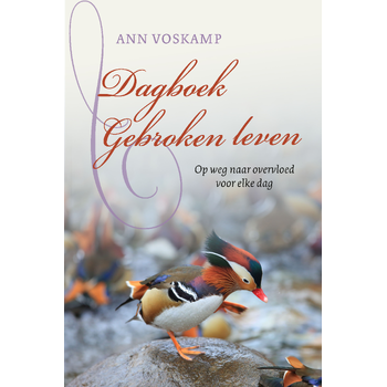Dagboek Gebroken leven (Hardback) bij Singel 344