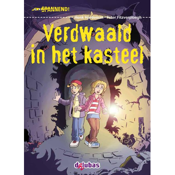 Verdwaald in het kasteel (Hardback) bij Singel 344