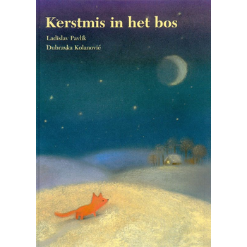 Kerstmis in het bos (Hardback) bij Singel 344
