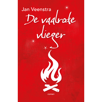 De vaalrode vlieger (Paperback) bij Singel 344