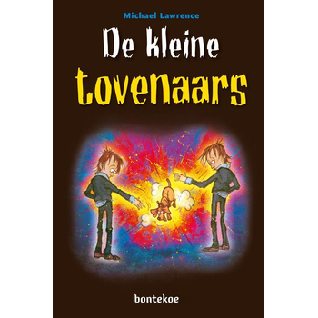 De kleine tovenaars (Hardback) bij Singel 344