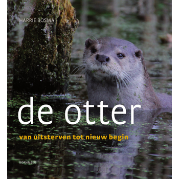 De otter (Paperback) bij Singel 344