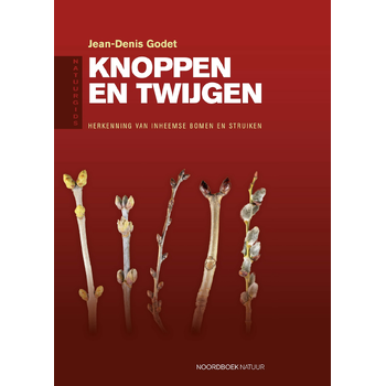 Natuurgids knoppen en twijgen (Paperback) bij Singel 344
