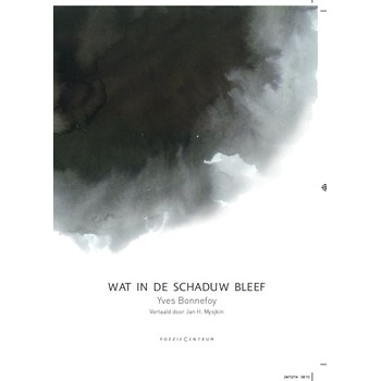 Wat in de schaduw bleef (Hardback) bij Singel 344