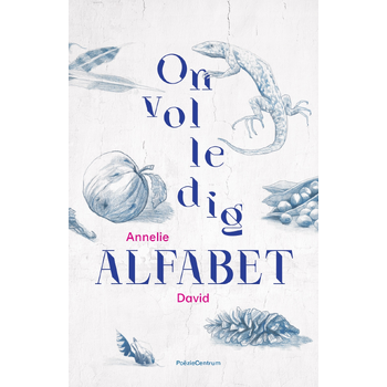 Onvolledig alfabet (Paperback) bij Singel 344