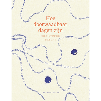 Hoe doorwaadbaar dagen zijn (Paperback) bij Singel 344