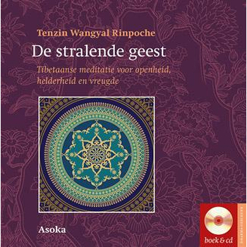 De stralende geest (Hardback) bij Singel 344