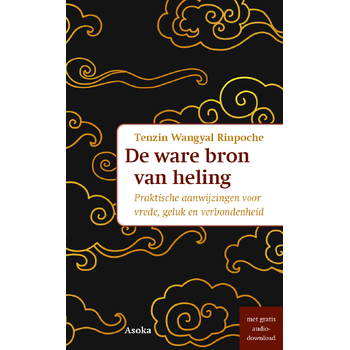 De ware bron van heling (Paperback) bij Singel 344