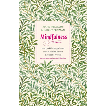 Mindfulness (Paperback) bij Singel 344