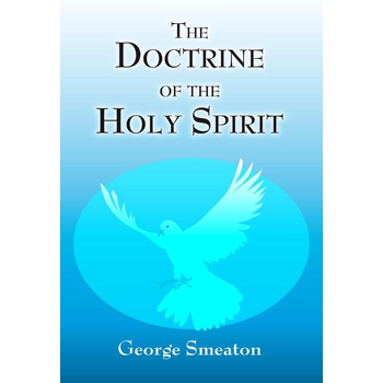The doctrine of the Holy Spirit (Paperback) bij Singel 344