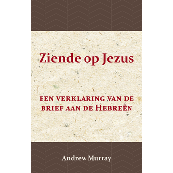 Ziende op Jezus (Paperback) bij Singel 344