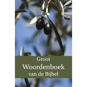 Groot Woordenboek van de Bijbel A-H (Paperback) bij Singel 344