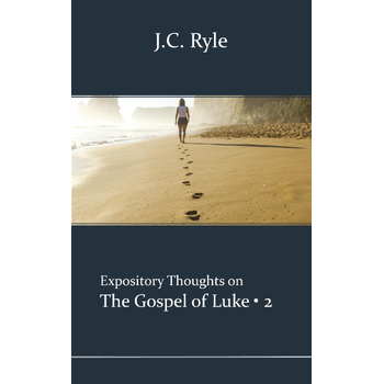 Luke 2 (Paperback) bij Singel 344