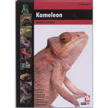 Kameleon (Hardback) bij Singel 344