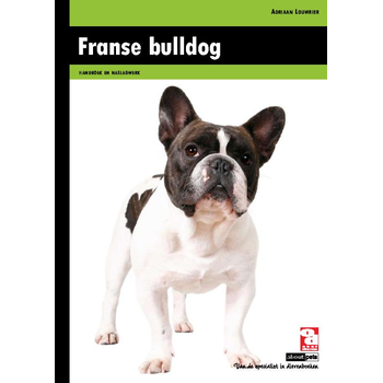 Franse bulldog (Hardback) bij Singel 344