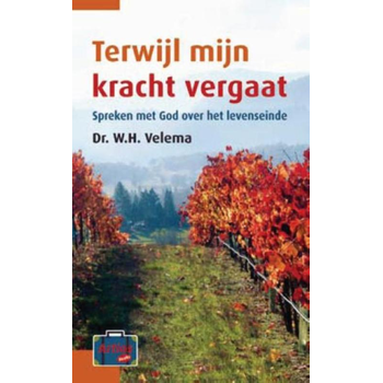 Terwijl mijn kracht vergaat (Paperback) bij Singel 344