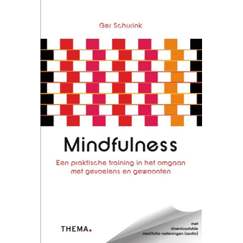 Mindfulness (Paperback) bij Singel 344